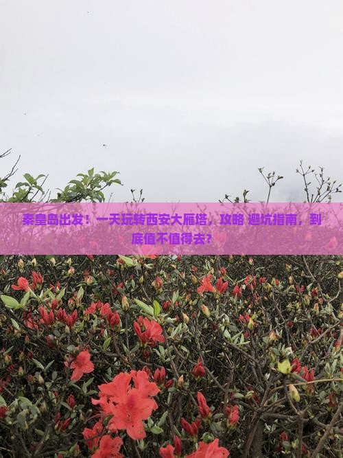 秦皇岛到西安大雁塔一日游