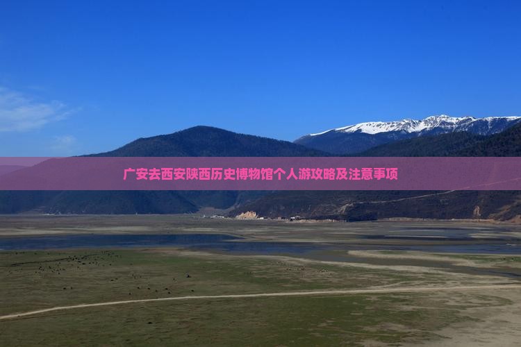 广安去西安陕西历史博物馆个人游