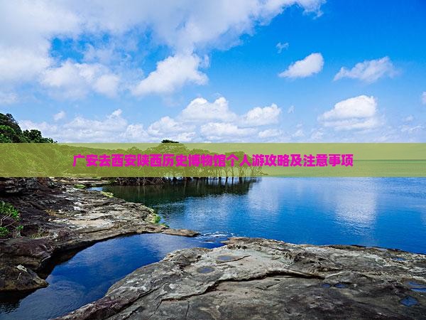 广安去西安陕西历史博物馆个人游