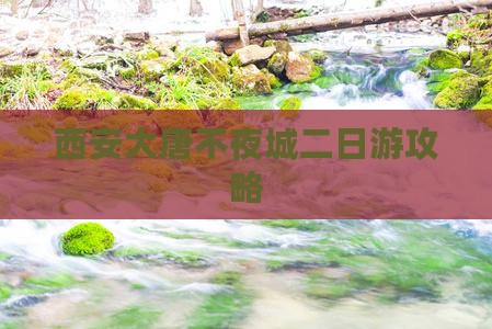 冬天去西安大唐不夜城二日游