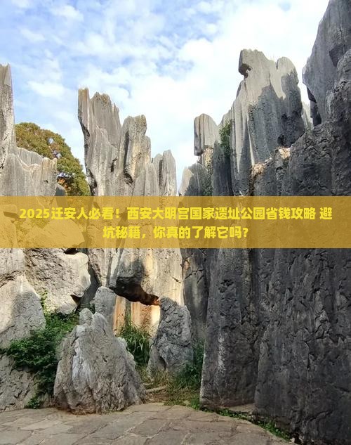 迁安到西安大明宫国家遗址公园旅行社