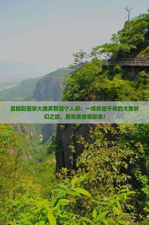 昌都到西安大唐芙蓉园个人游