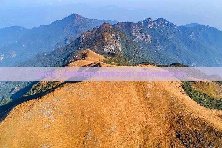 泉州到西安陕西历史博物馆旅行社