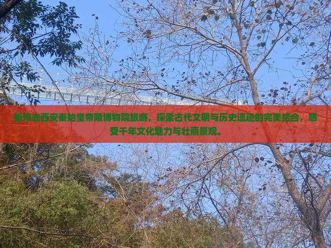 衢州去西安秦始皇帝陵博物院旅游