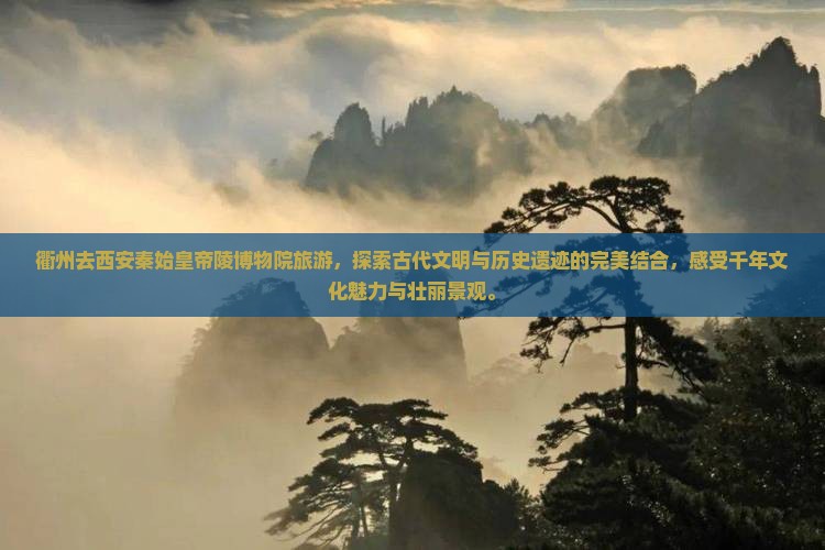 衢州去西安秦始皇帝陵博物院旅游