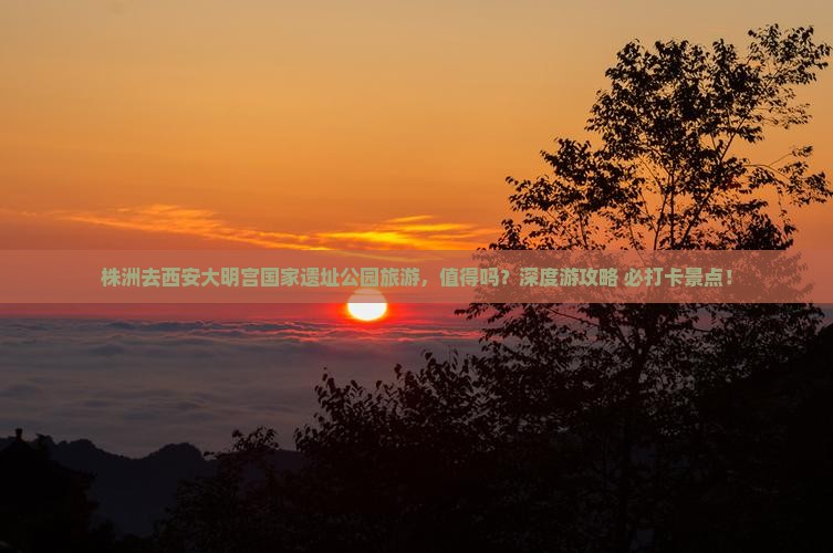 株洲去西安大明宫国家遗址公园旅游