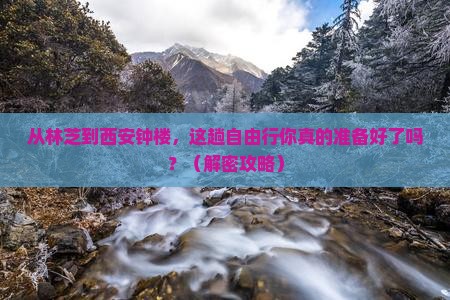 林芝去西安钟楼自由行