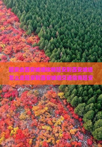 延安去西安城墙攻略