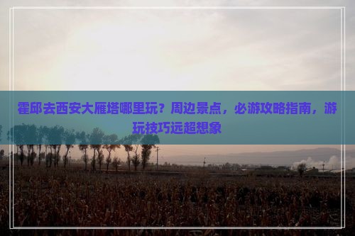 霍邱去西安大雁塔哪里玩