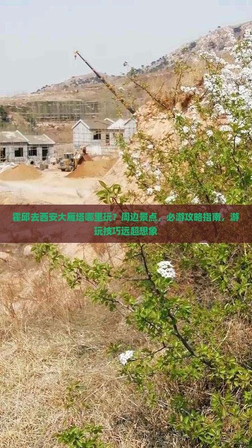 霍邱去西安大雁塔哪里玩