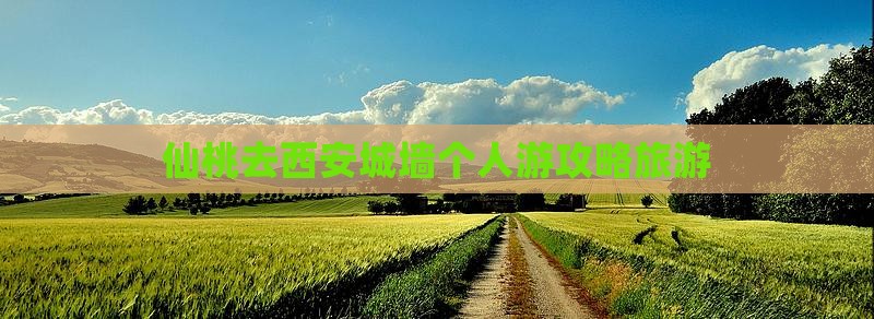 仙桃去西安城墙个人游