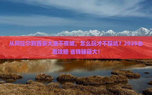 阿拉尔到西安大唐不夜城哪里玩