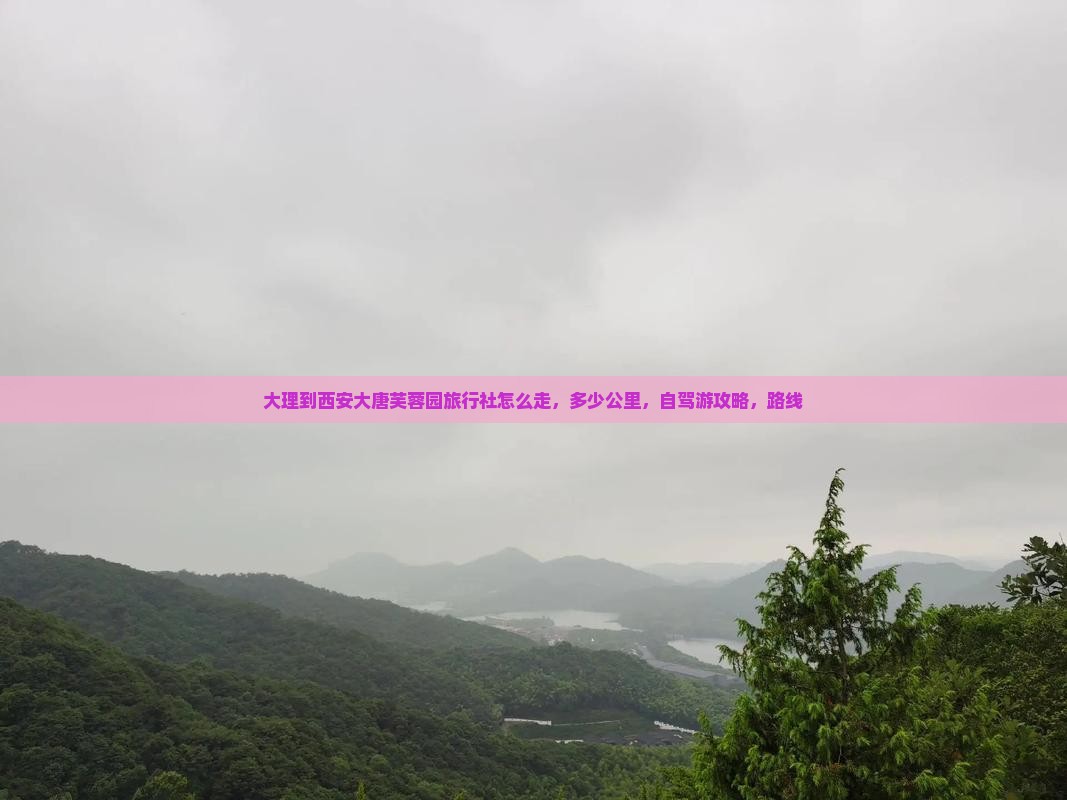 大理到西安大唐芙蓉园旅行社