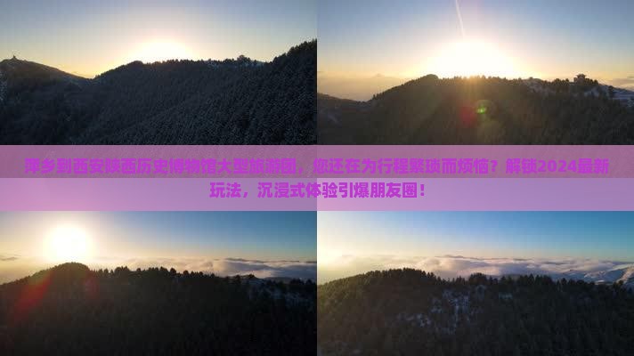 萍乡到西安陕西历史博物馆大型旅游团