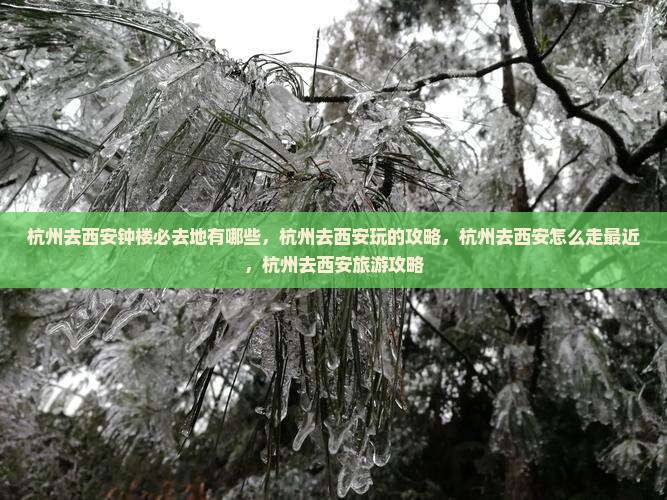 杭州去西安钟楼必去地
