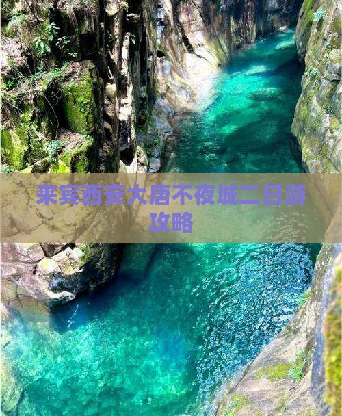 来宾到西安大唐不夜城二日游