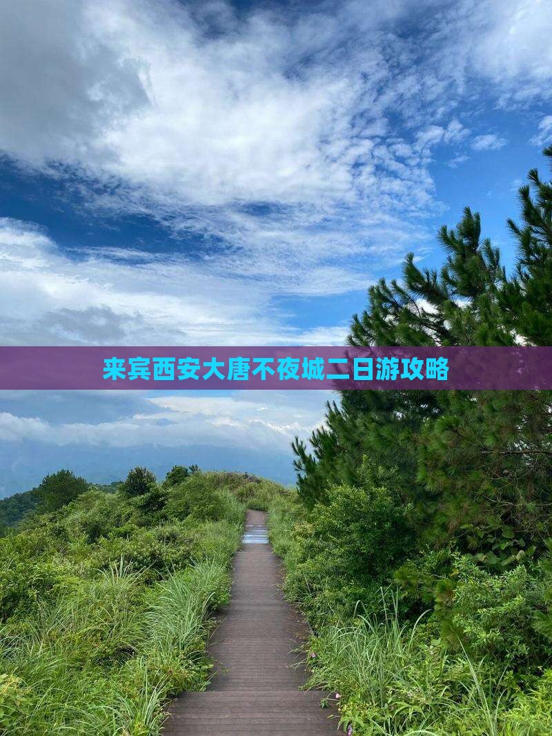 来宾到西安大唐不夜城二日游