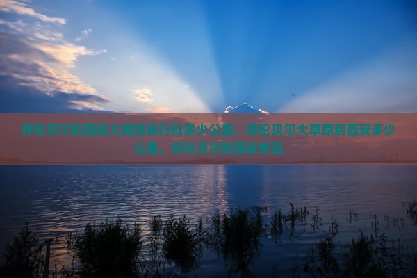 呼伦贝尔到西安大雁塔旅行社
