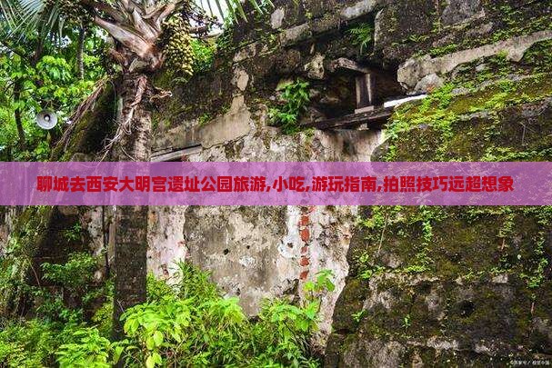 聊城去西安大明宫国家遗址公园旅游小吃
