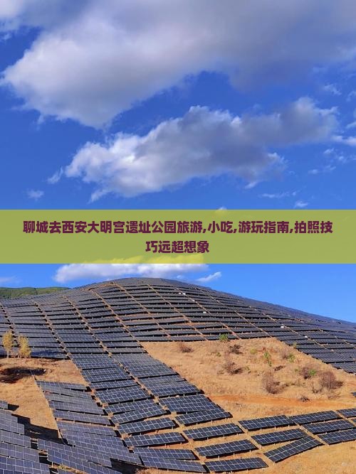 聊城去西安大明宫国家遗址公园旅游小吃