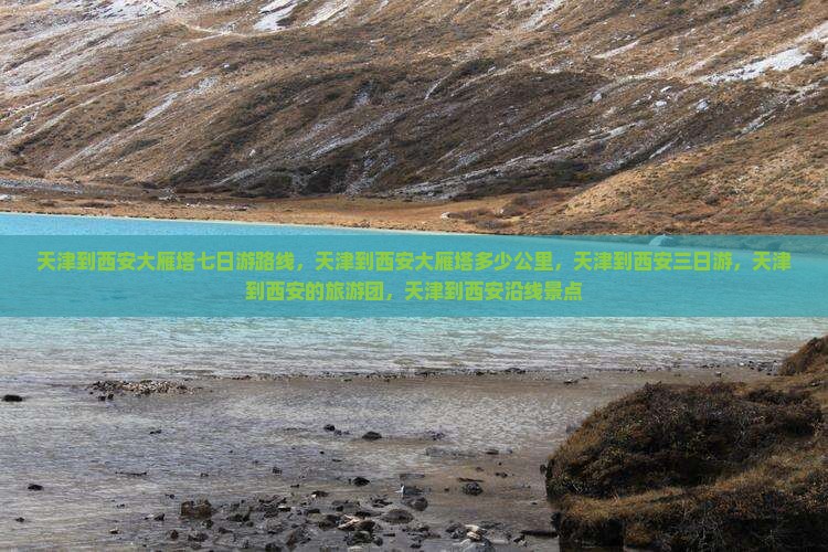 天津到西安大雁塔七日游