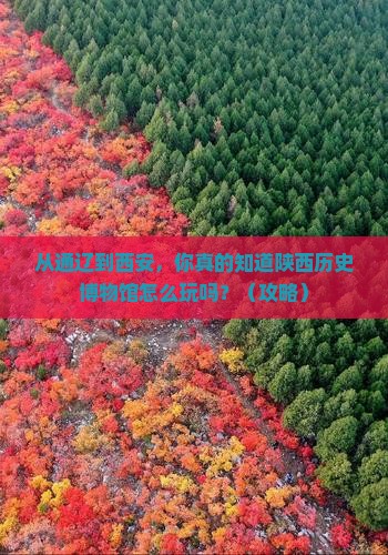 通辽到西安陕西历史博物馆景点