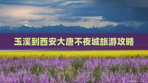 玉溪到西安大唐不夜城团体旅游