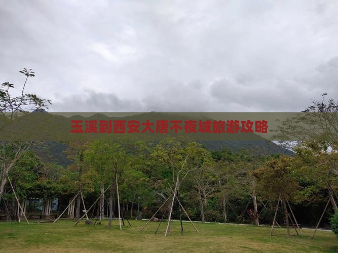 玉溪到西安大唐不夜城团体旅游