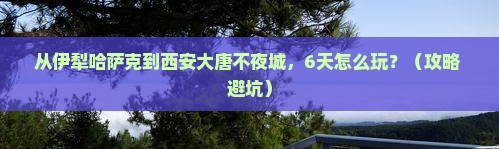 伊犁哈萨克去西安大唐不夜城六日游