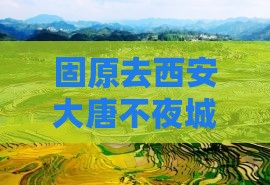 固原去西安大唐不夜城景点