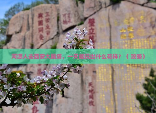 河源去西安大雁塔一日游