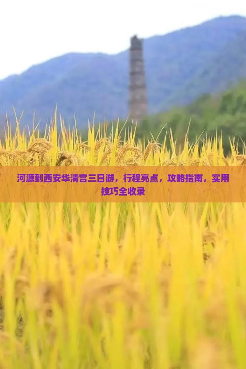 河源到西安华清宫三日游