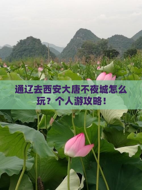 通辽去西安大唐不夜城个人游