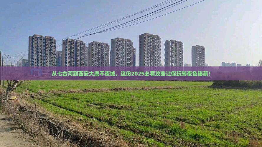 七台河去西安大唐不夜城必去地
