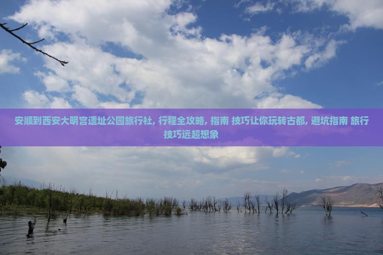 安顺到西安大明宫国家遗址公园旅行社