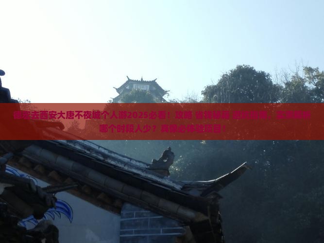 德宏去西安大唐不夜城个人游