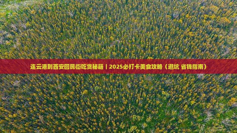 连云港到西安回民街必去地