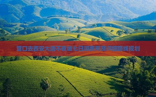 营口去西安大唐不夜城七日游