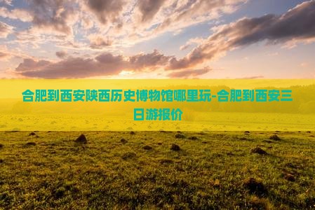 合肥到西安陕西历史博物馆哪里玩