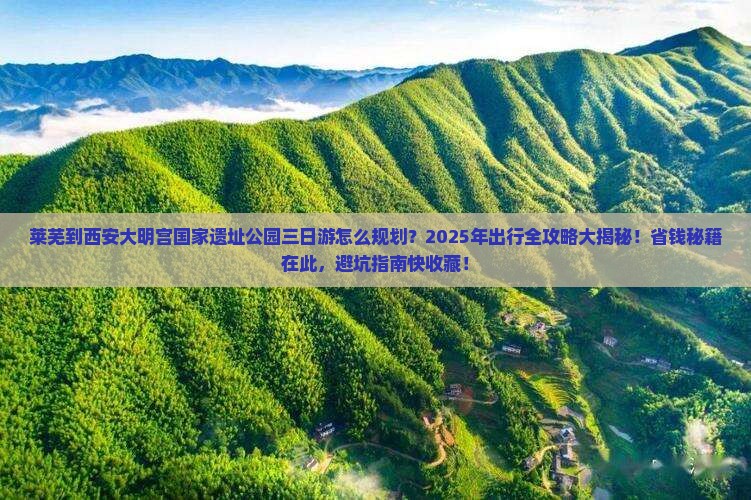 莱芜到西安大明宫国家遗址公园三日游