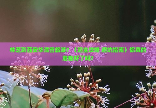 林芝去西安华清宫旅行社