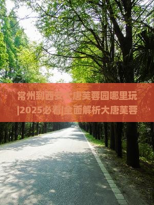 常州到西安大唐芙蓉园哪里玩