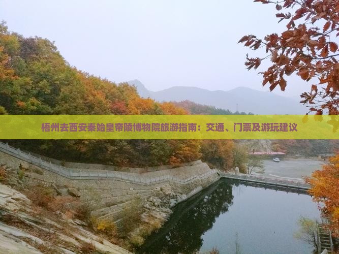 梧州去西安秦始皇帝陵博物院旅游