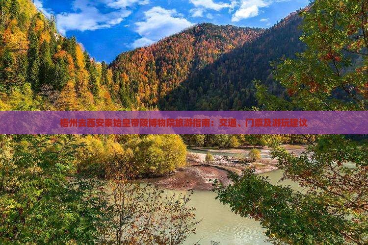 梧州去西安秦始皇帝陵博物院旅游