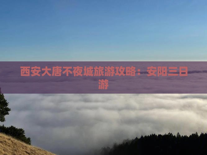 安阳到西安大唐不夜城三日游