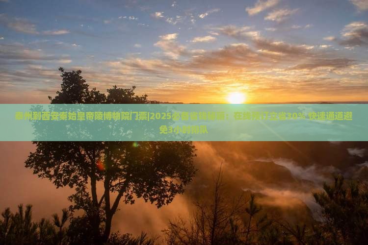 泰州到西安秦始皇帝陵博物院门票