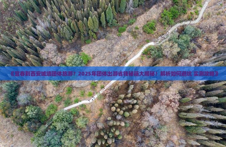 宜春到西安城墙团体旅游
