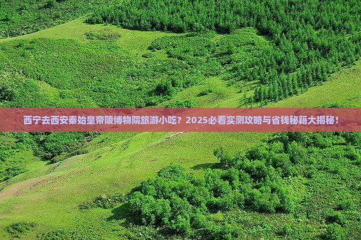 西宁去西安秦始皇帝陵博物院旅游小吃