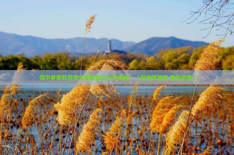 鄂尔多斯到西安大雁塔自由团