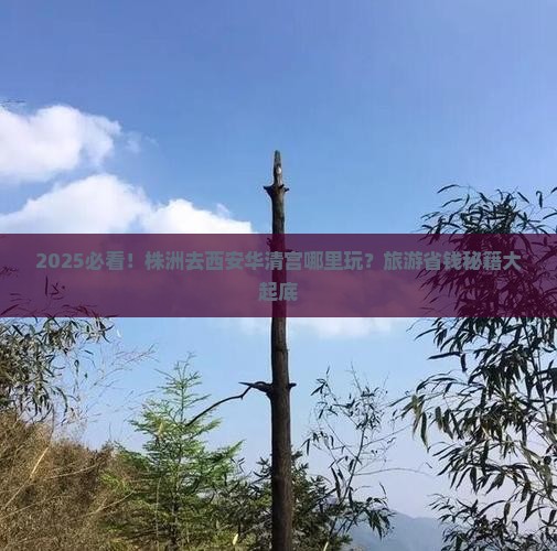 株洲去西安华清宫哪里玩